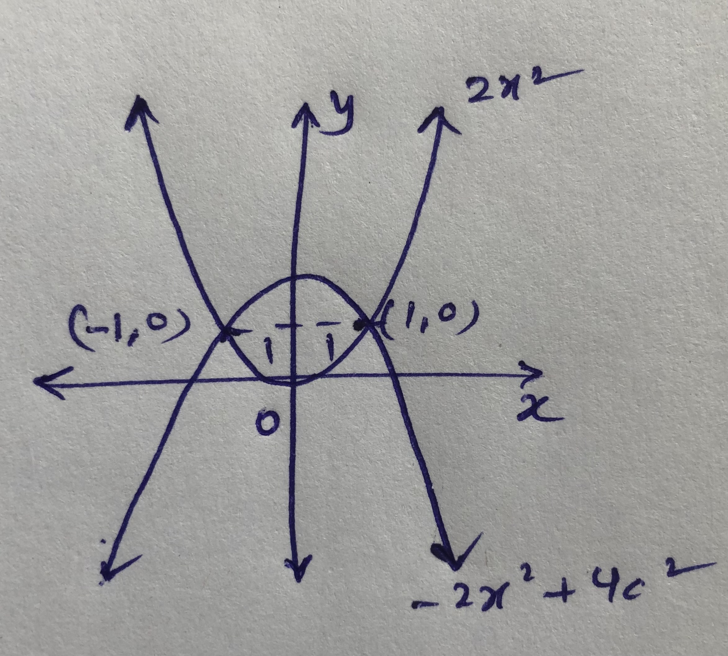 The graphs y =2x^2.jpg
