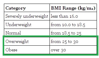 GRE exam - The graph below shows the body mass index (BMI) and basal me 1.jpg