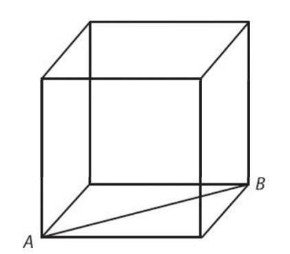 #GREpracticequestion In the cube above, the length of line segment AB is 8.jpg